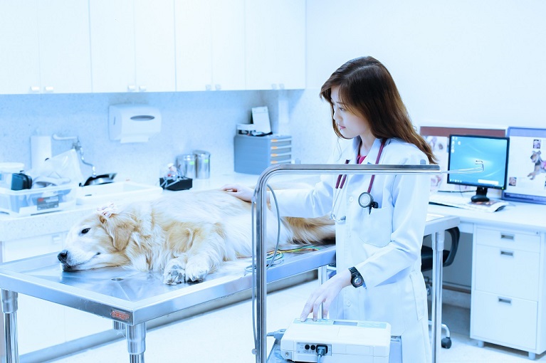 Veterinary Equipment Complete Sales, Service & Supplies