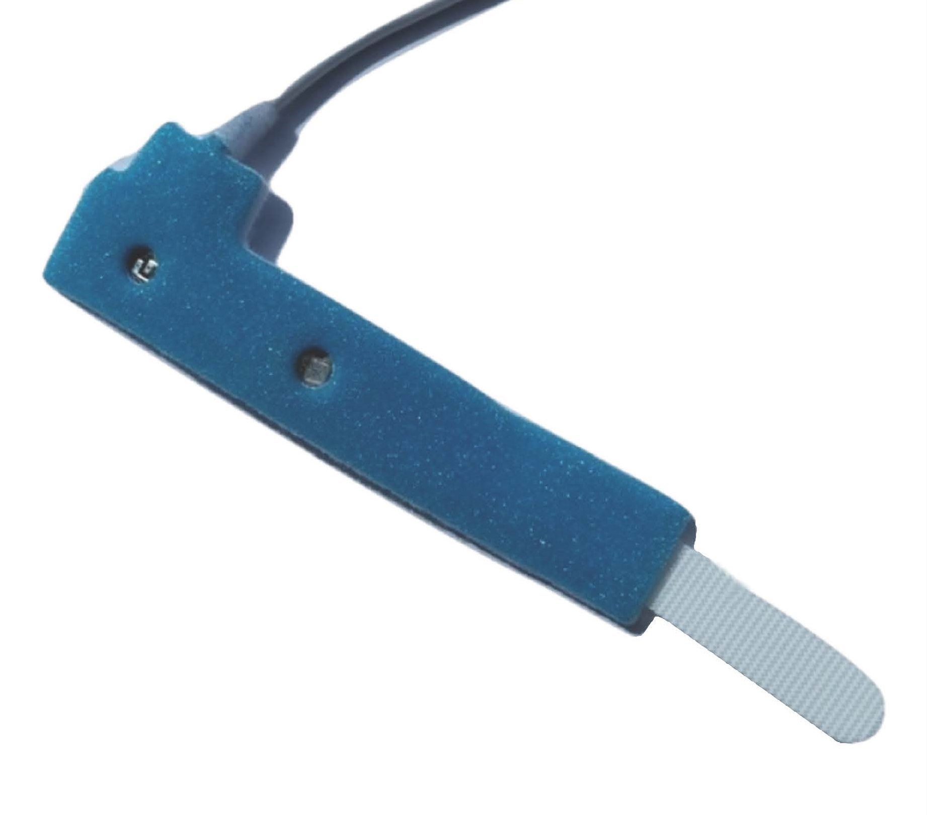 sensor exotes, avian, rodents