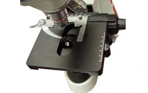 microscope focus v